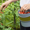 BURGON & BALL Gardening Hip Trug Large - Poppy
