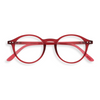 IZIPIZI PARIS Adult Reading Glasses STYLE #D