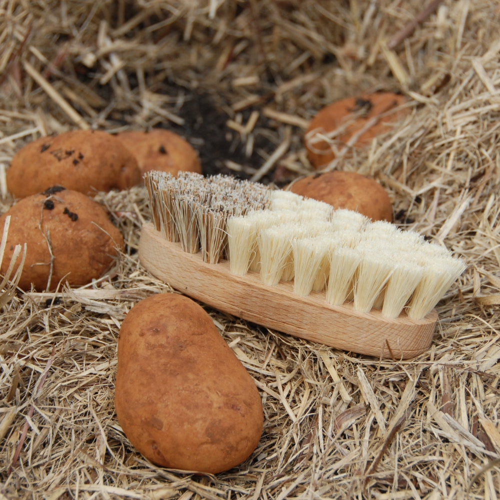 Load image into Gallery viewer, KELLER BÜRSTEN Vegetable Brush Beechwood &amp; Union Fibre - French Text - Brosse á Légumes