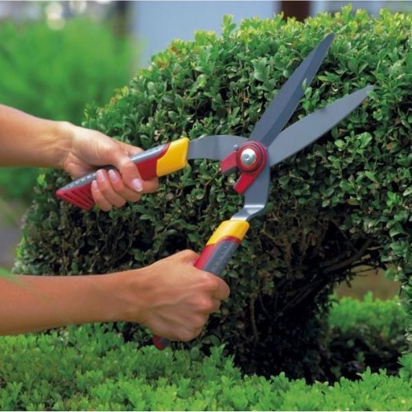 WOLF GARTEN Hedge Shears, Box Tree & Topiary Trimming