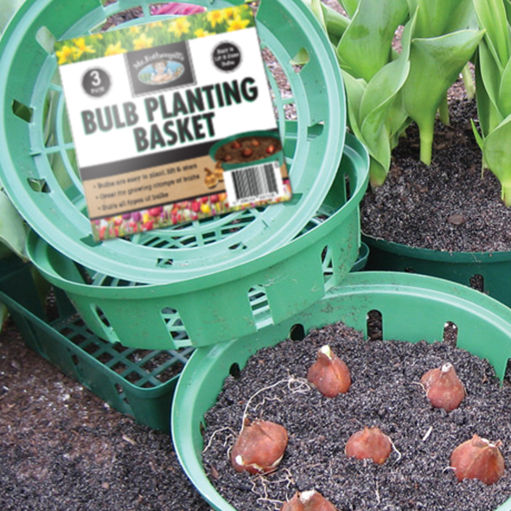 MR FOTHERGILLS Bulb Planting & Storage Baskets - Set of 3