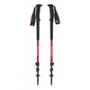 BLACK DIAMOND TRAIL 2019 Trekking Poles, Picante - Pair