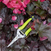 NEW-BURGON-and-BALL-FloraBrite-Flower-and-Fruit-Snip-Yellow-GFB-FSYELL-Botanex