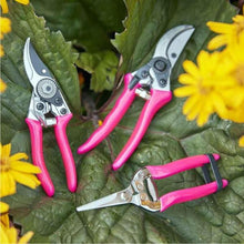Load image into Gallery viewer, BURGON &amp; BALL | NEW FloraBrite™ Pink Bypass Secateurs display