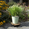 ESSCHERT DESIGN Aged Wooden Plant Trolley Round - Large