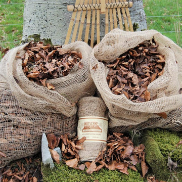 NUTSCENE SCOTLAND Leaf Sacks- Set 2