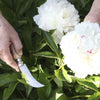 OPINEL N8 Folding Pruning Knife / Grafting Billhook - 04109