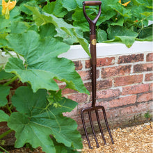 Load image into Gallery viewer, NATIONAL TRUST x BURGON &amp; BALL | Digging Fork