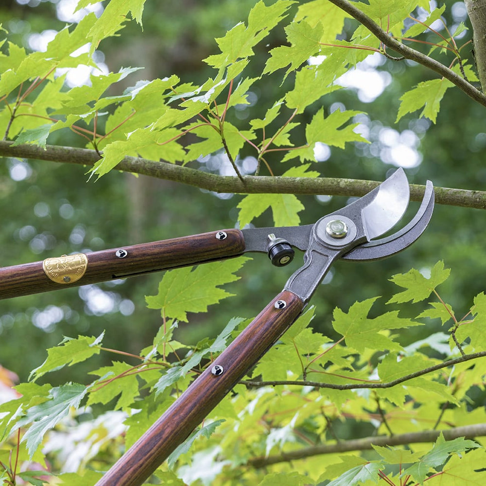 Load image into Gallery viewer, NATIONAL TRUST x BURGON &amp; BALL Lopper