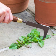 Load image into Gallery viewer, NATIONAL TRUST x BURGON &amp; BALL Patio Weeding Knife