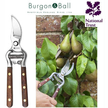 Load image into Gallery viewer, NATIONAL TRUST x BURGON &amp; BALL Secateurs