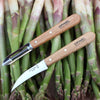 OPINEL Essentials 4 piece Kitchen / Knife Set - Beechwood (Natural)