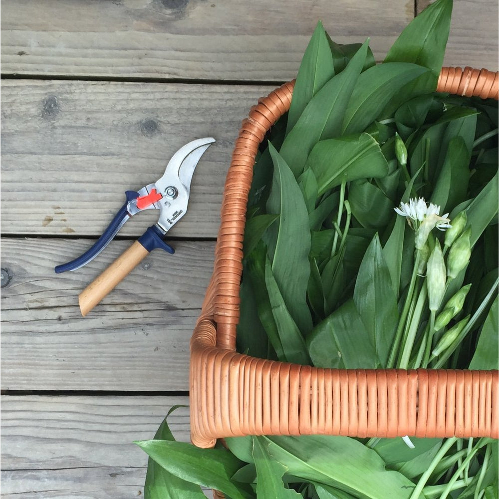 Load image into Gallery viewer, OPINEL Hand Pruner / Secateurs - Slate Blue