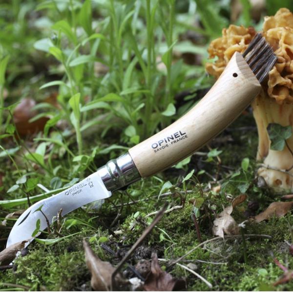 OPINEL Mushroom Knife Beech + Boar Bristles - Gift Boxed