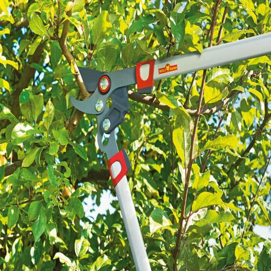 WOLF GARTEN | Power Cut Bypass Lopper being used