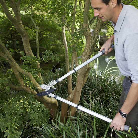 BURGON & BALL  |  Telescopic Ratchet Lopper - in use