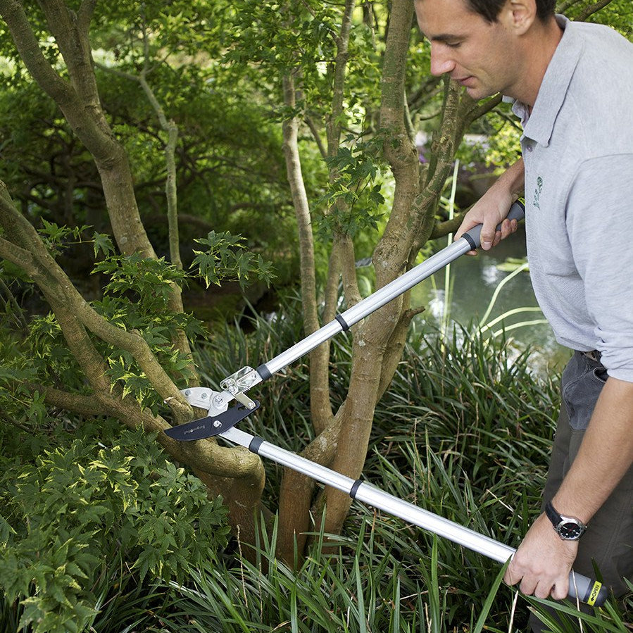 BURGON & BALL  |  Telescopic Ratchet Lopper - in use