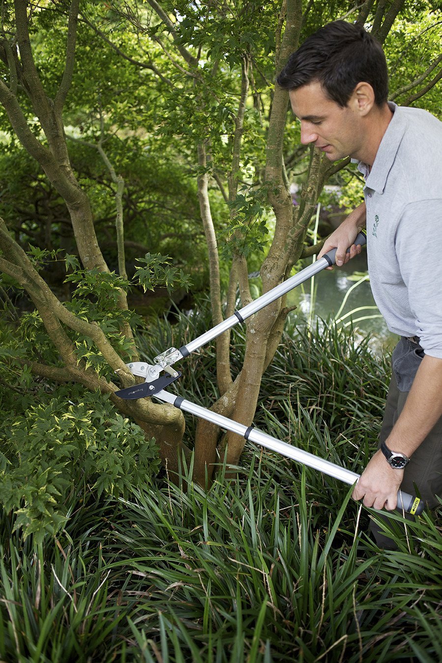 Load image into Gallery viewer, BURGON &amp; BALL Telescopic Ratchet Tree Lopper - RHS Endorsed