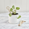 ROBERT GORDON Handy Little Things Herb Garden Stakes