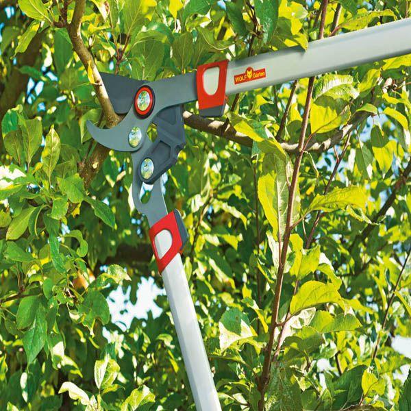High Reach with the WOLF GARTEN Power Cut 'Premium Plus' 900mm Telescopic Bypass Lopper