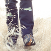 SNAKEPROTEX EXPEDITION Snake Protection Chaps - Large