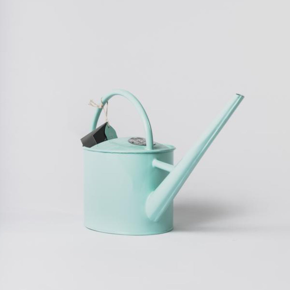 Load image into Gallery viewer, SOPHIE CONRAN Greenhouse &amp; Indoor Plant Watering Can - Blue