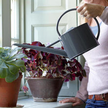 Load image into Gallery viewer, SOPHIE CONRAN Greenhouse &amp; Indoor Plant Watering Can - Grey