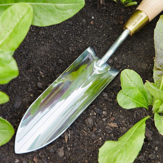 SOPHIE CONRAN Long Thin Trowel