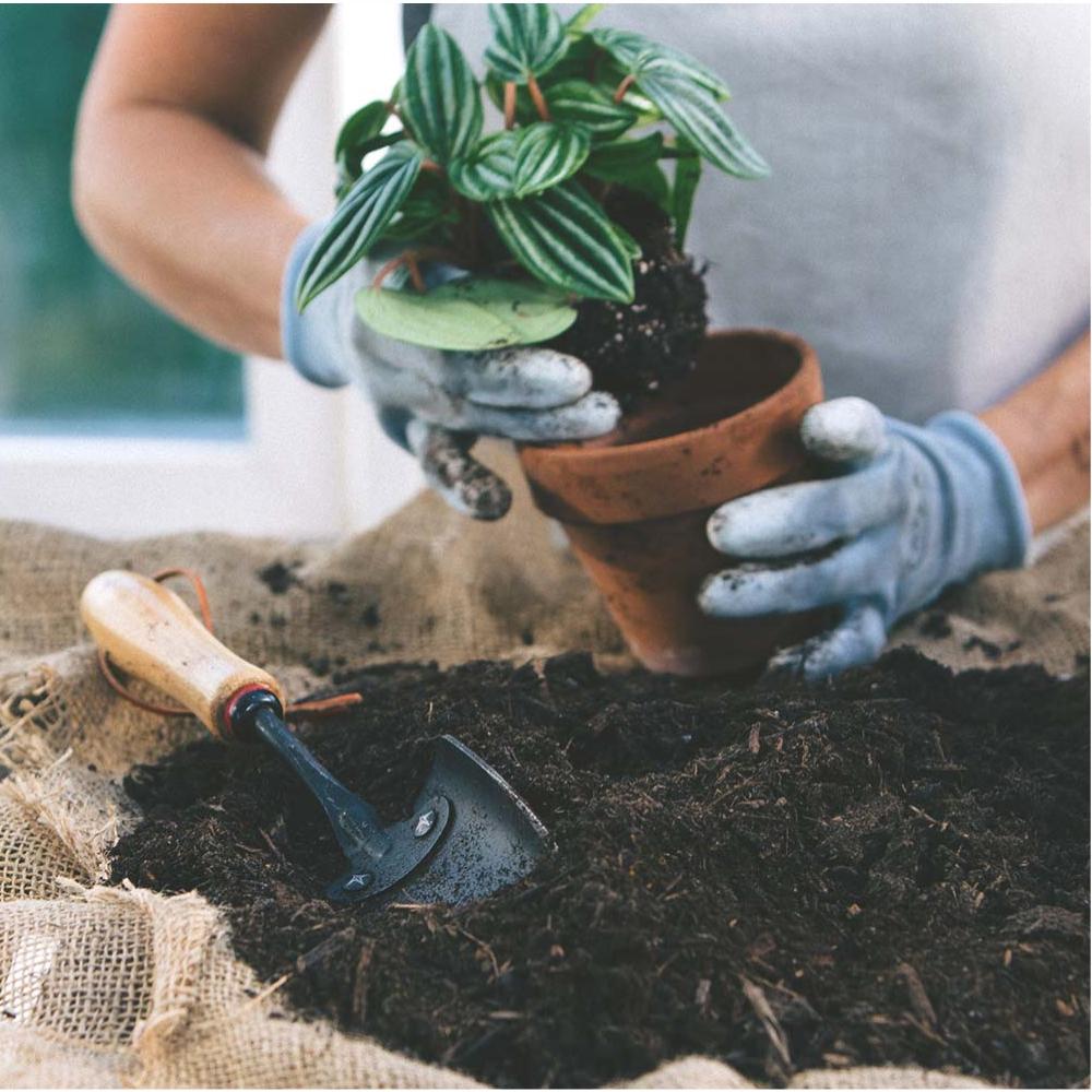 Load image into Gallery viewer, BAREBONES Hand Spade - Walnut