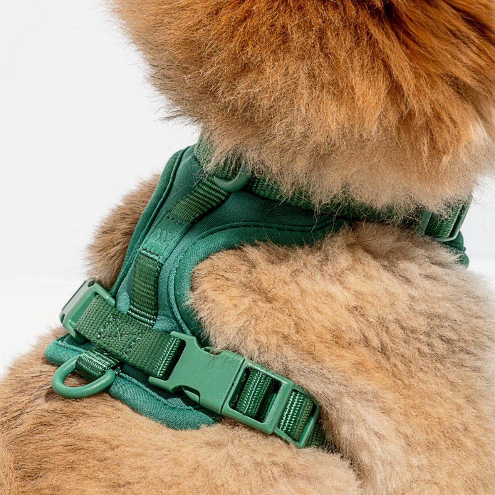 Load image into Gallery viewer, WILD ONE Dog Harness Walk Kit - Spruce