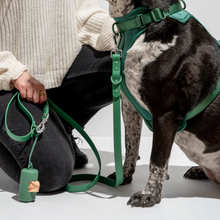 Load image into Gallery viewer, WILD ONE Dog Harness Walk Kit - Spruce