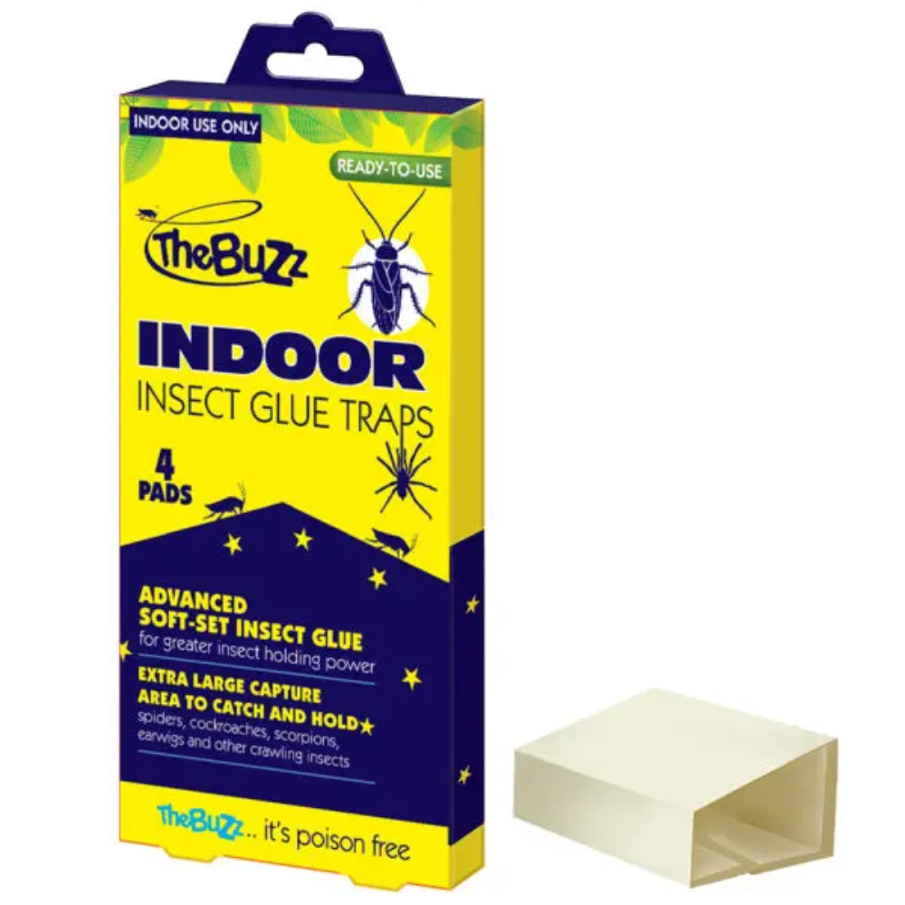 THE BUZZ Indoor Insect Glue Trap – 4 Pack