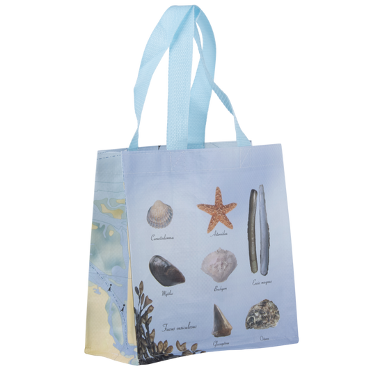 ESSCHERT DESIGN 'Seaside' Beach & Shopping Bag - Medium **Limited Stock**