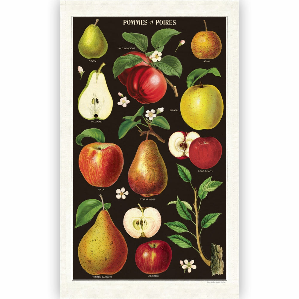 CAVALLINI & Co. 100% Natural Cotton Tea Towel - Apples & Pears