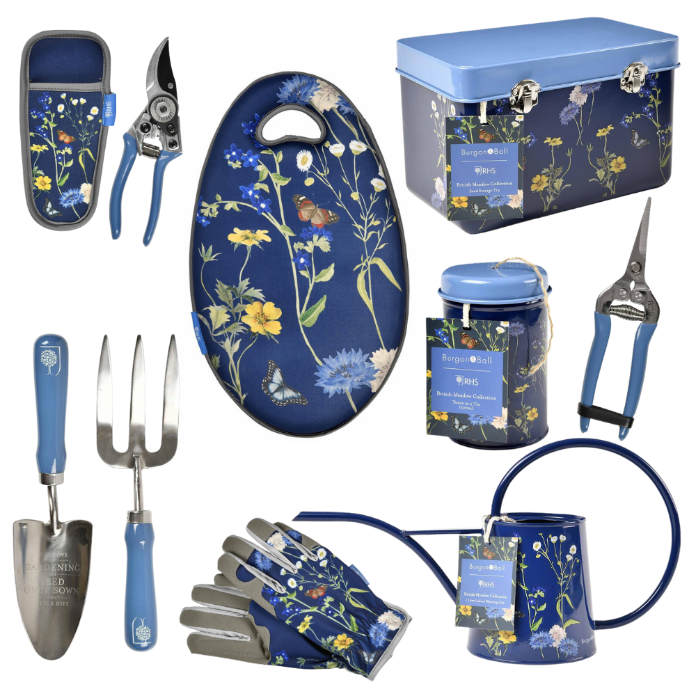 Burgon & Ball Annaffiatoio Da Interno RHS British Meadow, Acciaio Zincato, Blu Medio, Con Beccuccio Sottile, Per Piante Domestiche