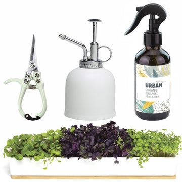 URBAN GREENS Microgreens Windowsill & Accessories Kit
