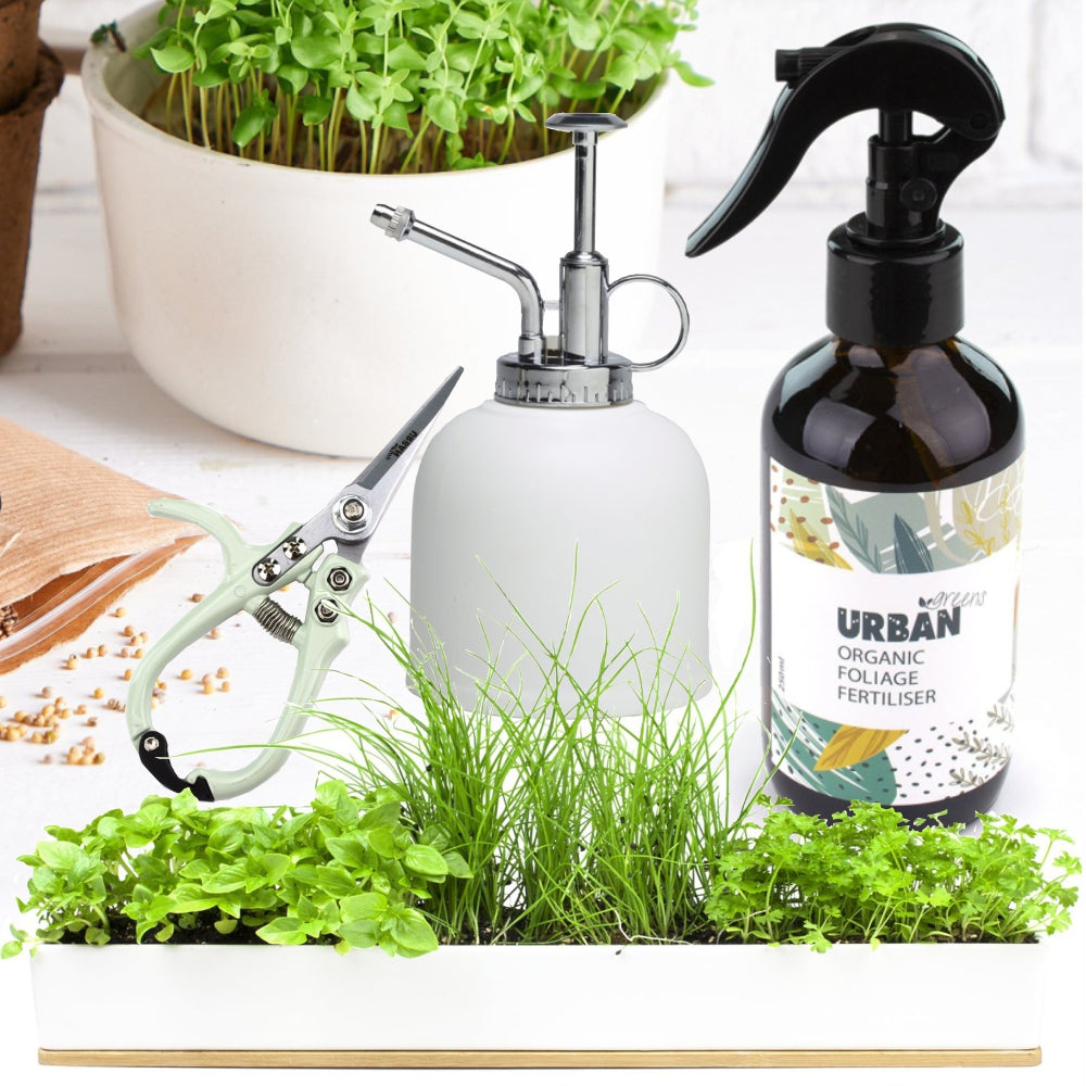 Load image into Gallery viewer, URBAN GREENS Microherbs Windowsill &amp; Accessories Kit