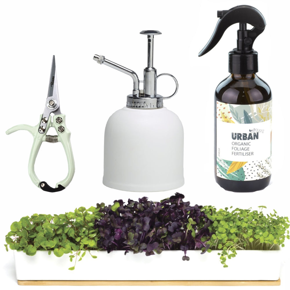 Load image into Gallery viewer, URBAN GREENS Microgreens Windowsill &amp; Accessories Kit