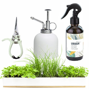 URBAN GREENS Microherbs Windowsill & Accessories Kit