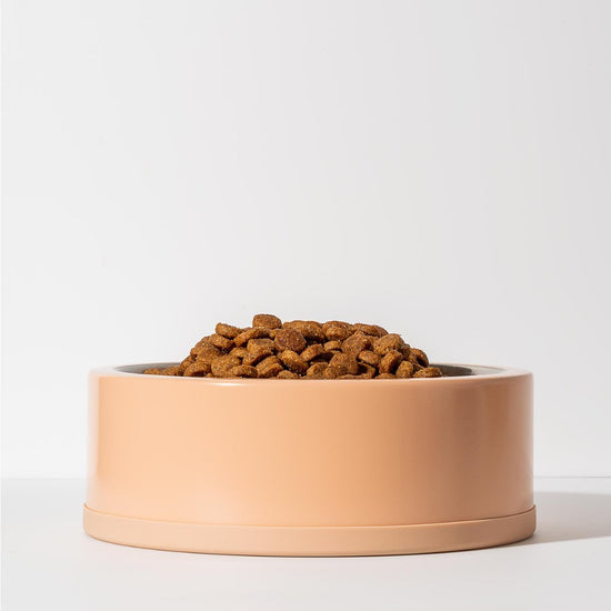 WILD ONE Dog Bowl - Tan