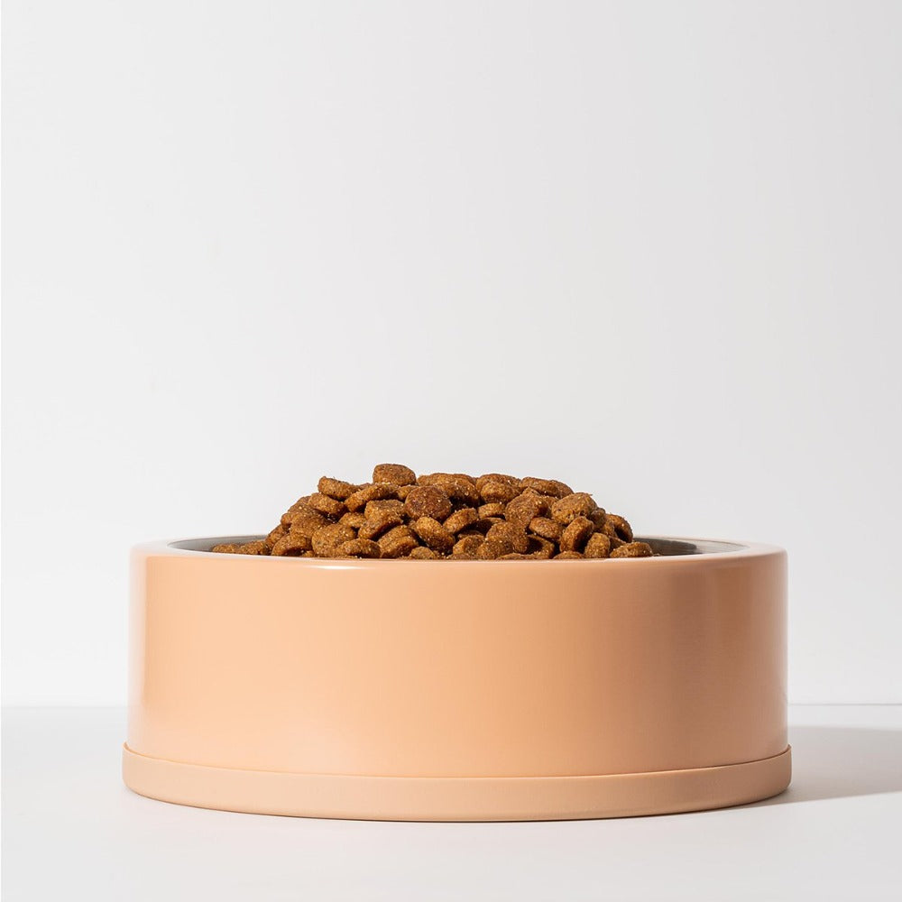 WILD ONE Dog Bowl - Tan