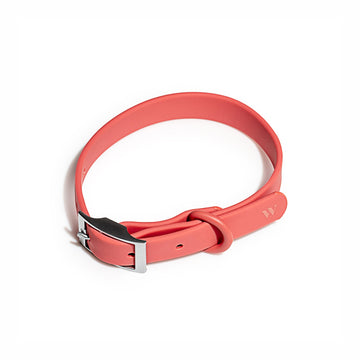 WILD ONE Dog Collar Medium - Coral Red **CLEARANCE**