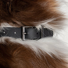 Load image into Gallery viewer, WILD ONE Dog Collar Small - Black