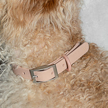 Load image into Gallery viewer, WILD ONE Dog Collar Small - Blush