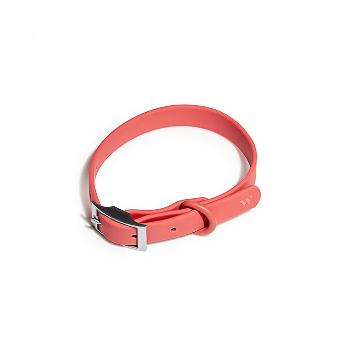 WILD ONE Dog Collar Small - Coral Red
