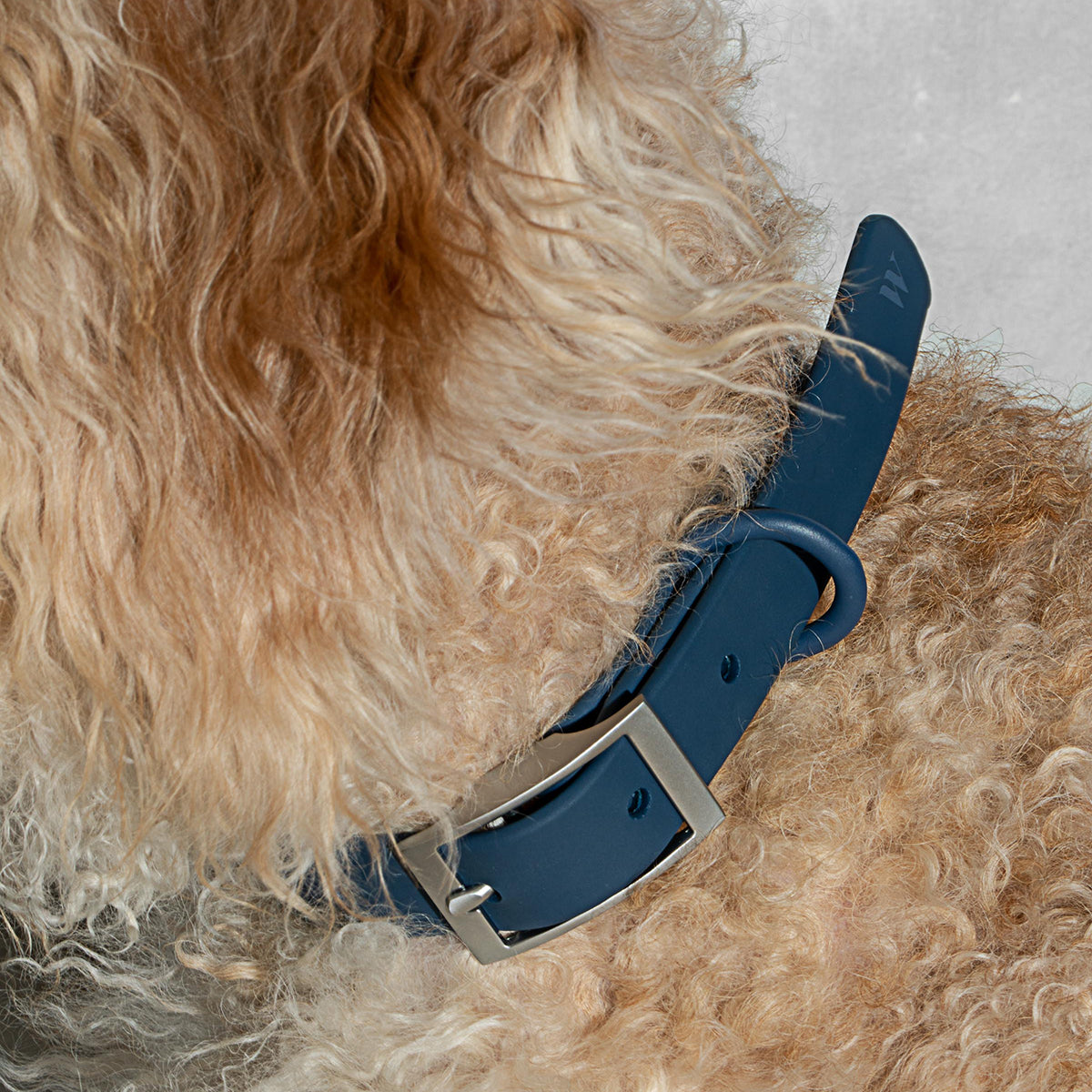 Load image into Gallery viewer, WILD ONE Dog Collar Small - Navy Blue