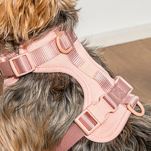 Load image into Gallery viewer, WILD ONE Dog Harness Small - Blush Pink