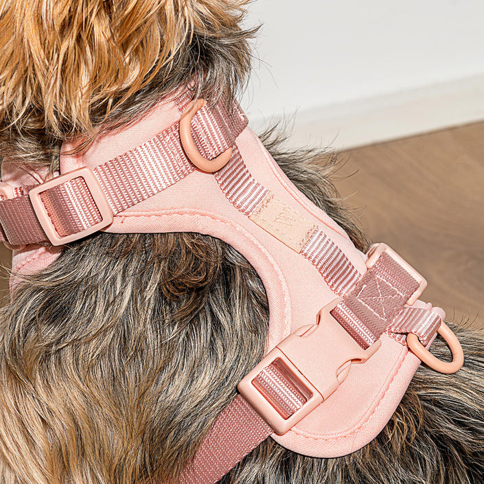 WILD ONE Dog Harness Small - Blush Pink