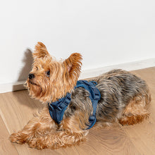 Load image into Gallery viewer, WILD ONE Dog Harness Small - Navy Blue