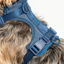Load image into Gallery viewer, WILD ONE Dog Harness Small - Navy Blue